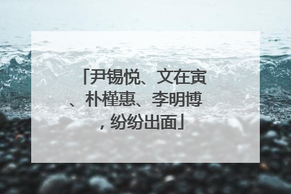 尹锡悦、文在寅、朴槿惠、李明博，纷纷出面
