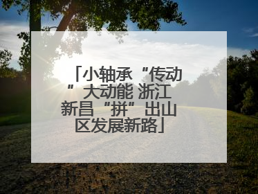 小轴承“传动”大动能 浙江新昌“拼”出山区发展新路
