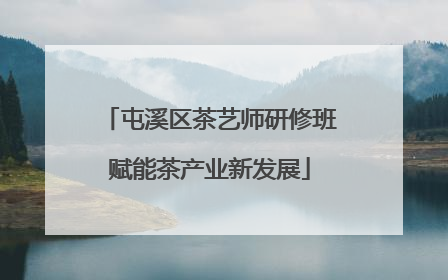 屯溪区茶艺师研修班赋能茶产业新发展