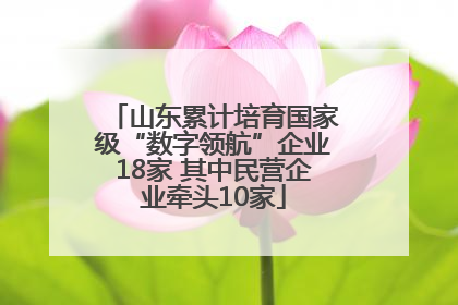 山东累计培育国家级“数字领航”企业18家 其中民营企业牵头10家