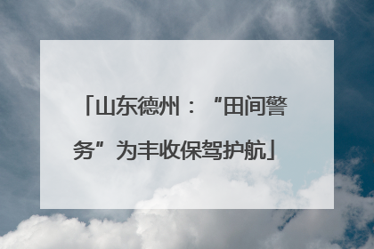 山东德州：“田间警务”为丰收保驾护航