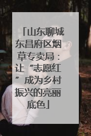 山东聊城东昌府区烟草专卖局：让“志愿红”成为乡村振兴的亮丽底色