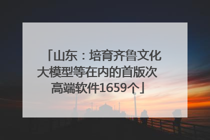 山东：培育齐鲁文化大模型等在内的首版次高端软件1659个