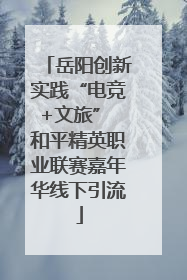 岳阳创新实践“电竞+文旅” 和平精英职业联赛嘉年华线下引流
