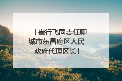 崔行飞同志任聊城市东昌府区人民政府代理区长