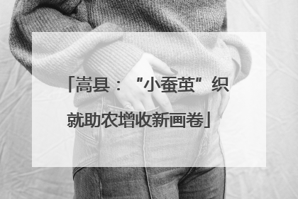 嵩县：“小蚕茧”织就助农增收新画卷