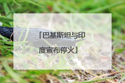 巴基斯坦与印度宣布停火