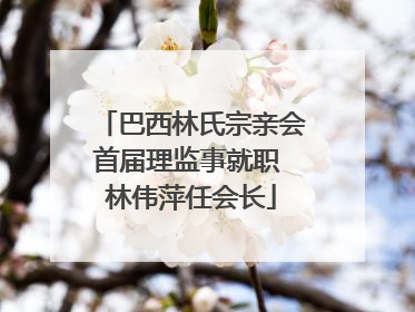 巴西林氏宗亲会首届理监事就职 林伟萍任会长