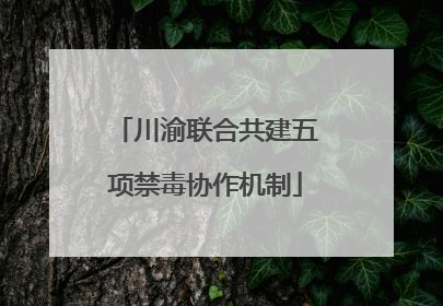 川渝联合共建五项禁毒协作机制