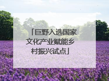 巨野入选国家文化产业赋能乡村振兴试点