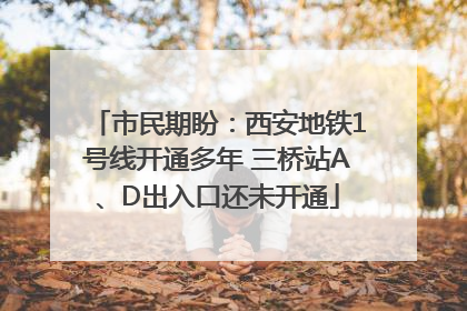 市民期盼：西安地铁1号线开通多年 三桥站A、D出入口还未开通