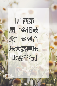 广西第二届“金铜鼓奖”系列音乐大赛声乐比赛举行