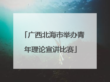 广西北海市举办青年理论宣讲比赛