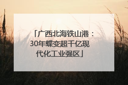 广西北海铁山港：30年蝶变超千亿现代化工业强区