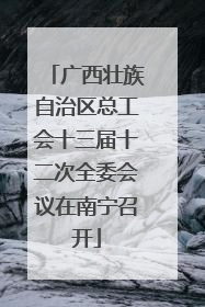 广西壮族自治区总工会十三届十二次全委会议在南宁召开