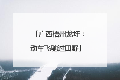 广西梧州龙圩：动车飞驰过田野