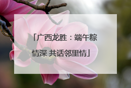 广西龙胜：端午粽情深 共话邻里情