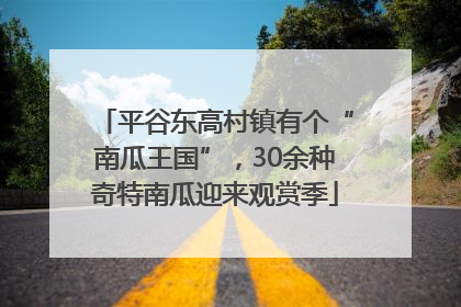平谷东高村镇有个“南瓜王国”，30余种奇特南瓜迎来观赏季