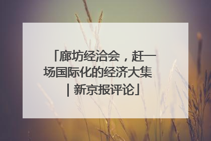 廊坊经洽会，赶一场国际化的经济大集｜新京报评论