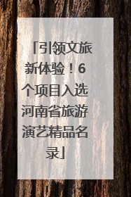 引领文旅新体验！6个项目入选河南省旅游演艺精品名录