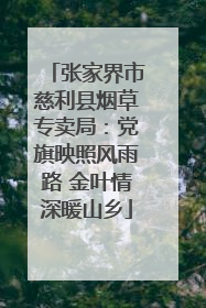张家界市慈利县烟草专卖局：党旗映照风雨路 金叶情深暖山乡