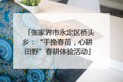 张家界市永定区桥头乡：“手挽春苗，心耕田野”春耕体验活动