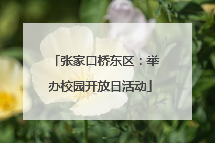 张家口桥东区：举办校园开放日活动