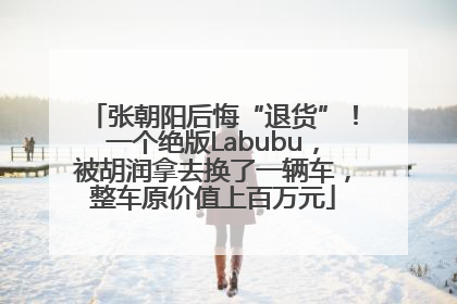 张朝阳后悔“退货”！一个绝版Labubu，被胡润拿去换了一辆车，整车原价值上百万元