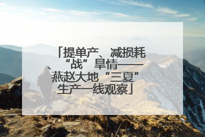 提单产、减损耗、“战”旱情——燕赵大地“三夏”生产一线观察