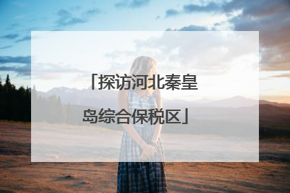 探访河北秦皇岛综合保税区