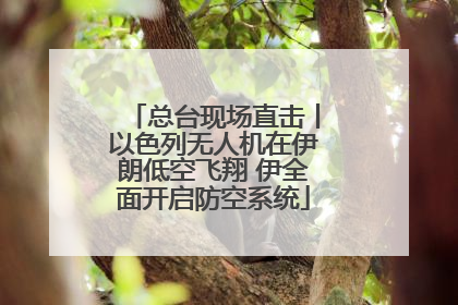 总台现场直击丨以色列无人机在伊朗低空飞翔 伊全面开启防空系统