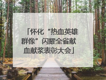 怀化“热血英雄群像”闪耀全省献血献浆表彰大会
