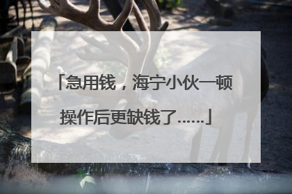 急用钱，海宁小伙一顿操作后更缺钱了……