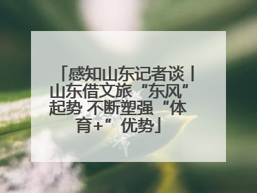 感知山东记者谈丨山东借文旅“东风”起势 不断塑强“体育+”优势