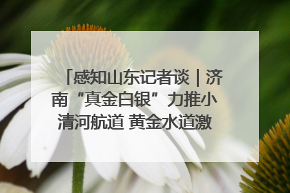 感知山东记者谈｜济南“真金白银”力推小清河航道 黄金水道激活区域经济新动能