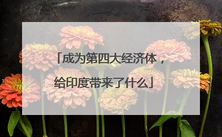 成为第四大经济体，给印度带来了什么