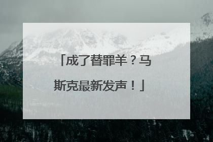 成了替罪羊？马斯克最新发声！