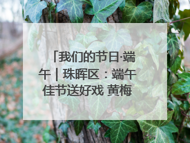 我们的节日·端午｜珠晖区：端午佳节送好戏 黄梅声韵润民心