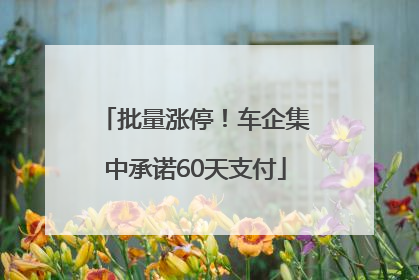 批量涨停！车企集中承诺60天支付
