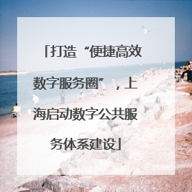 打造“便捷高效数字服务圈”，上海启动数字公共服务体系建设