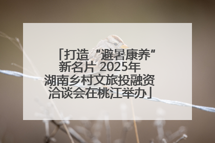 打造“避暑康养”新名片 2025年湖南乡村文旅投融资洽谈会在桃江举办