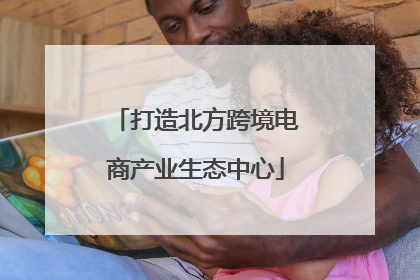 打造北方跨境电商产业生态中心