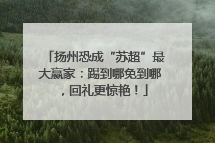 扬州恐成“苏超”最大赢家：踢到哪免到哪，回礼更惊艳！