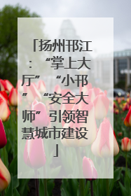 扬州邗江：“掌上大厅”“小邗”“安全大师”引领智慧城市建设
