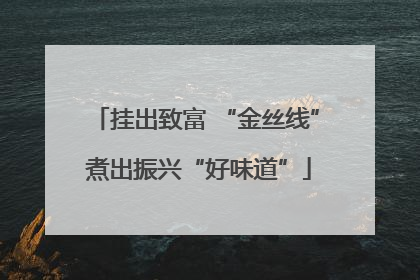 挂出致富 “金丝线” 煮出振兴“好味道”