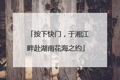 按下快门，于湘江畔赴湖南花海之约