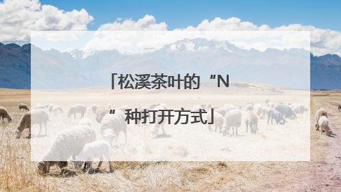 松溪茶叶的“N”种打开方式