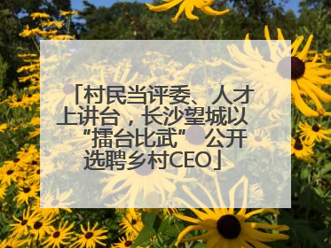 村民当评委、人才上讲台，长沙望城以“擂台比武” 公开选聘乡村CEO
