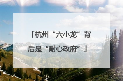 杭州“六小龙”背后是“耐心政府”