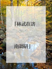 林武在济南调研